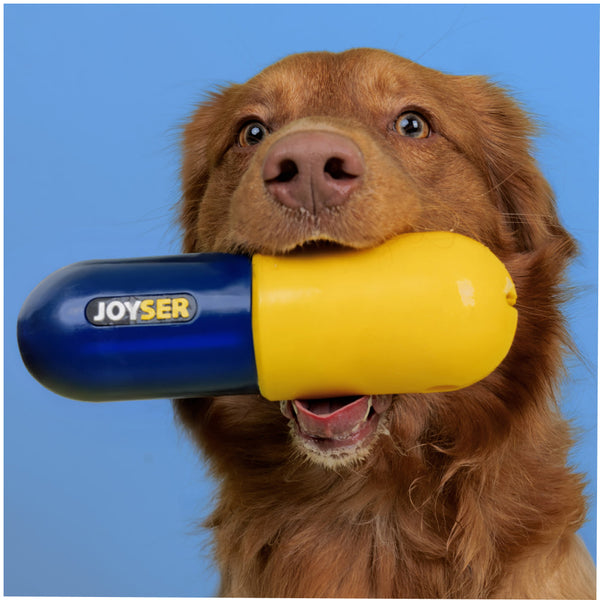 Joyser Pill Chew Toy for Dogs (Blue/Yellow)