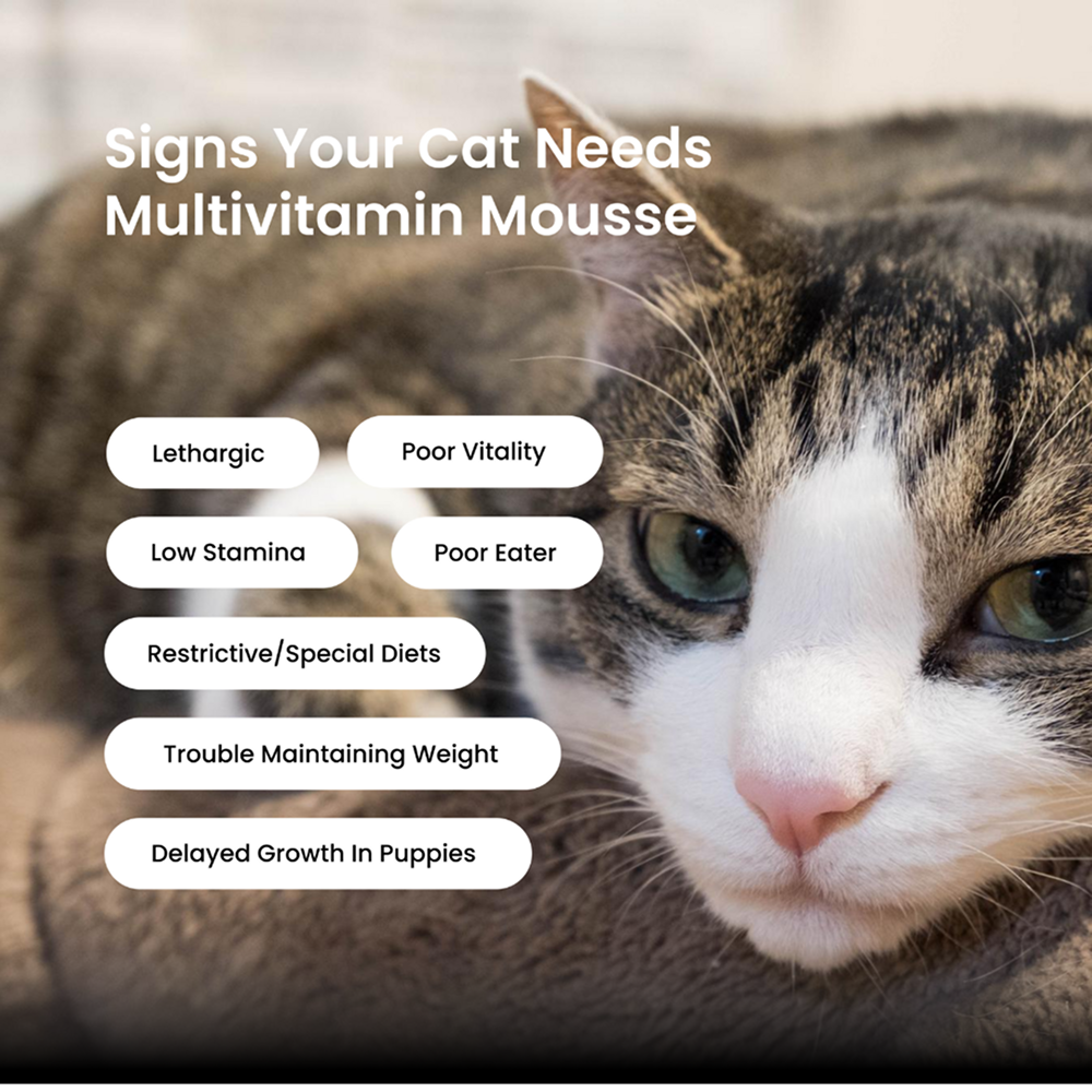 Absolut Pet Multivitamin Mousse Cat Supplement