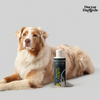 Doctor Doglittle Probiotic Coat Recovery 2 in 1 Shampoo Conditioner for Dogs Dogs-Grooming Supplies Doctor Doglittle