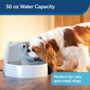 Petsafe Original Drinkwell Mini Fountain for Dogs and Cats Both-Bowls & Feeders Petsafe Dropship