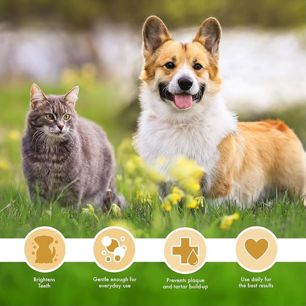 Petkin Peanut Butter Plaque Gel for Dogs and Cats Both-Health & Wellness Petkin