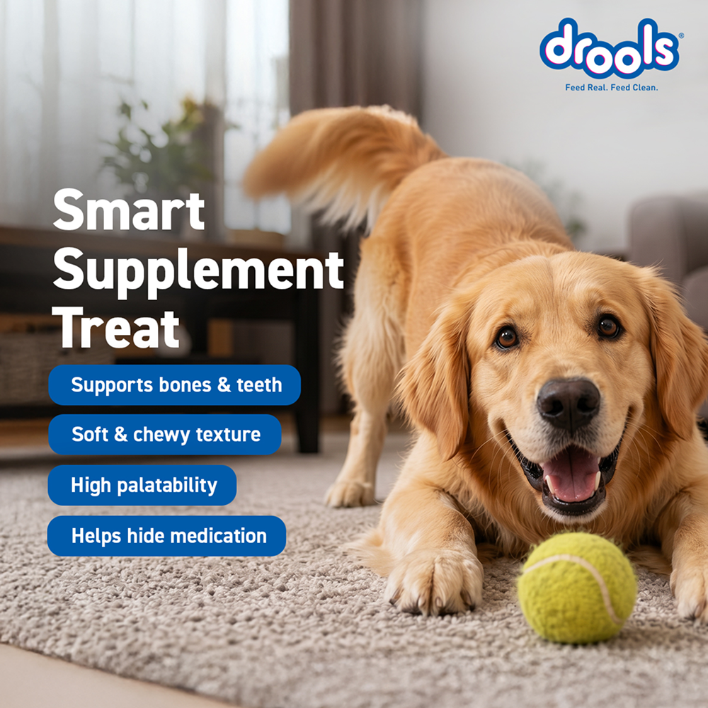 Drools Absolute Calcium Sausage Supplement for Dogs Dogs-Health & Wellness Drools