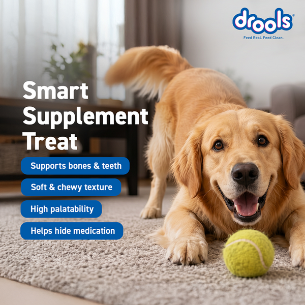 Drools Absolute Calcium Sausage Supplement for Dogs