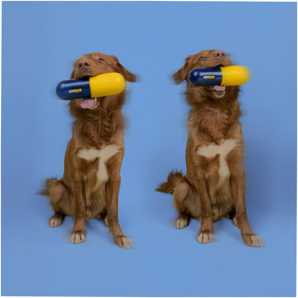 Joyser Pill Chew Toy for Dogs (Blue/Yellow)