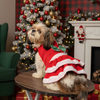 Pawgypets Christmas Dress for Dogs Dogs-Clothing & Accessories Pawgypets Dropship