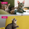 Absolut Pet Multivitamin Mousse Cat Supplement