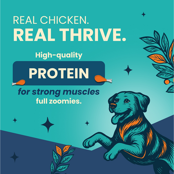 Bark Out Loud Thrive Chicken Flavour Adult Dog Dry Food