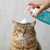 Moe Puppy Cleansing & Conditioning Foam Shampoo for Cats Cats-Grooming Supplies Moe