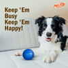 Nerf Dog Classic Squeak Transparent TPR Ball Toy for Dogs (Blue) Dogs-Toys Nerf