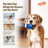 Nerf Dog Classic Squeak Transparent TPR Ball Toy for Dogs (Blue) Dogs-Toys Nerf