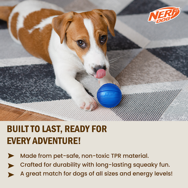 Nerf Dog Classic Squeak Transparent TPR Ball Toy for Dogs (Blue)