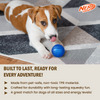 Nerf Dog Classic Squeak Transparent TPR Ball Toy for Dogs (Blue) Dogs-Toys Nerf