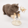 Barkbutler x Fofos Interactive Natural Wobbler Teaser Toy for Cats Cats-Toys Barkbutler