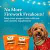 Bark Out Loud Festive Gift Box for Dogs Exclusive Combo Bark Out Loud