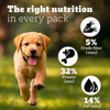 Pedigree PRO Expert Nutrition for Large Breed Puppy (3 to 18 Months) Dog Dry Food Dogs- Dry Food Pedigree PRO