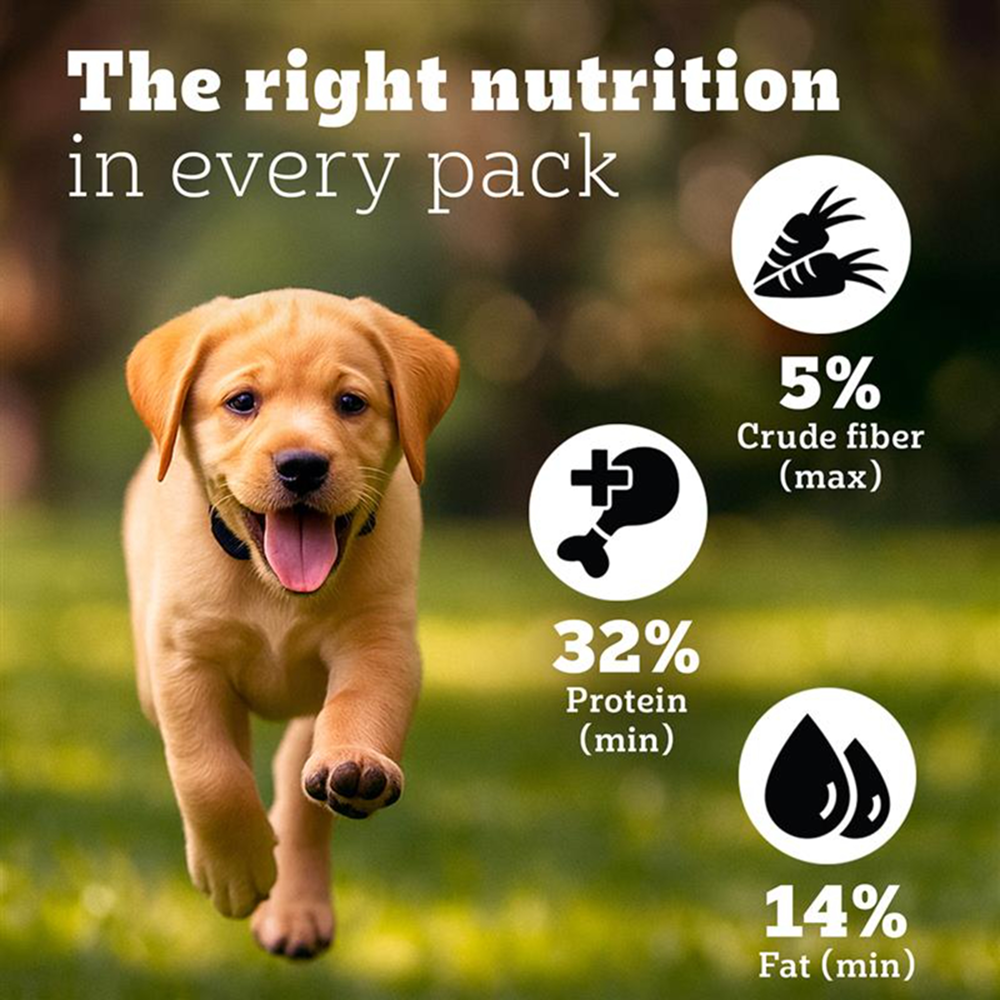 Pedigree PRO Expert Nutrition for Large Breed Puppy(3 to 18 Months) Dry Food Dogs- Dry Food Pedigree PRO