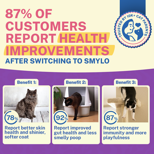 Smylo Chicken, Liver and Pomergranate Fresh and No Preservative Kitten Cat Wet Food