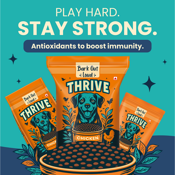 Bark Out Loud Thrive Chicken Flavour Adult Dog Dry Food