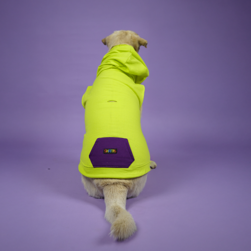 Skatrs Galaxy Breezy Hoodies with Pockets for Dogs and Cats (Green) Both-Clothing & Accessories Skatrs
