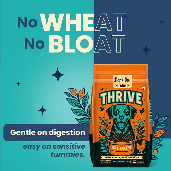 Bark Out Loud Thrive Chicken Flavour Adult Dog Dry Food