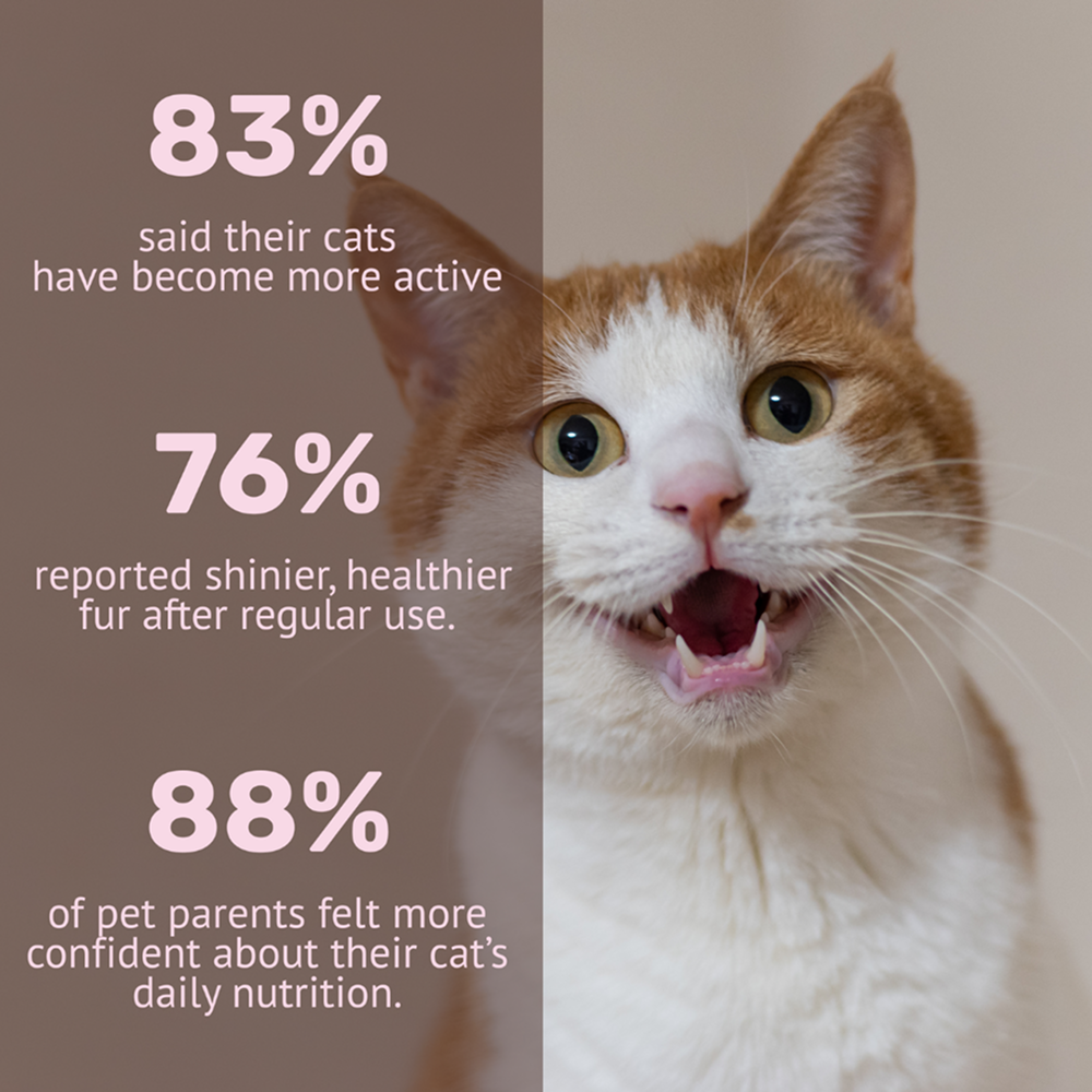 Absolut Pet Multivitamin Mousse Cat Supplement