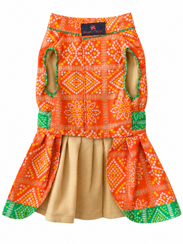 Pawgy Pets Festive Dress for Dogs (Orange & Green)