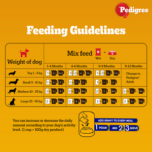 Pedigree Chicken Chunks in Gravy Pouch Puppy Dog Wet Food (130g)