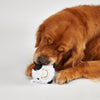 Fofos Pig and Cow Sprike Ball Animal Toy for Dogs Dogs-Toys FOFOS