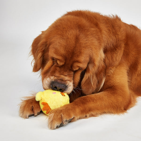 Fofos Chick and Lamb Sprike Ball Animal Toy for Dogs