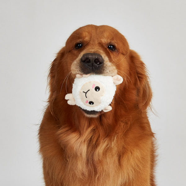 Fofos Chick and Lamb Sprike Ball Animal Toy for Dogs