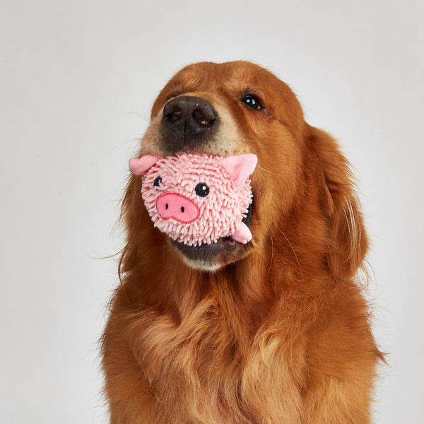Fofos Pig and Cow Sprike Ball Animal Toy for Dogs