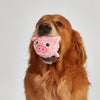 Fofos Pig and Cow Sprike Ball Animal Toy for Dogs Dogs-Toys FOFOS
