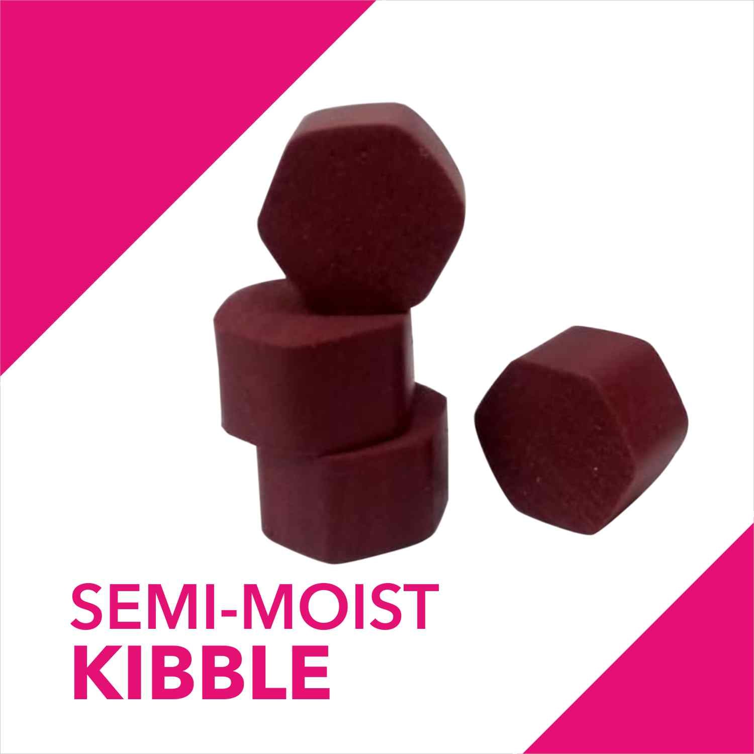 Drools Absolute Skin & Coat Supplement Tablets for Dogs Dogs-Health & Wellness Drools