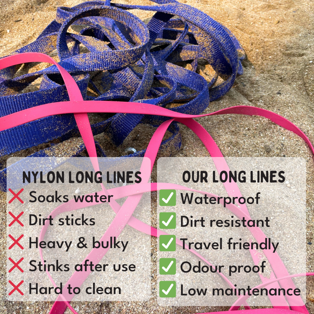 For The Love Of Dogs Long Lines Leash for Dogs (Aqua Blue)