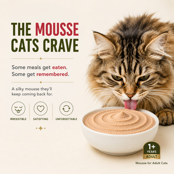 Signature Grain Zero Salmon Mousse Adult Cat Wet Food
