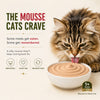 Signature Grain Zero Salmon Mousse Adult Cat Wet Food Cats-Wet Food Signature