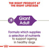 Royal Canin Giant Adult Dog Dry Food Dogs- Dry Food Royal Canin