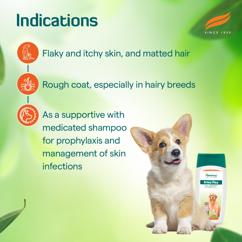 Himalaya Erina Plus Coat Cleanser with Conditioner for Dogs and Cats (Limited Shelf Life) Dogs-Grooming Supplies Himalaya