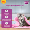 Whiskas Tuna in Jelly Kitten Cat Wet Food (80g)