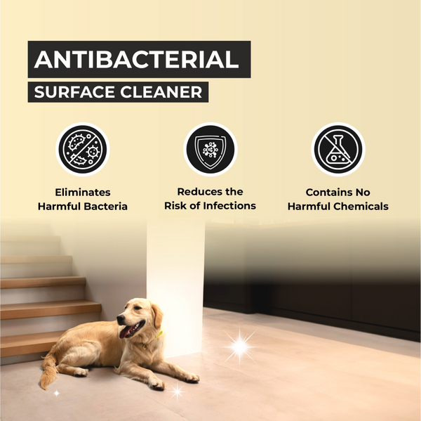 FurBall Story Petly Anti Microbial and Anti Bacterial Surface Cleaner