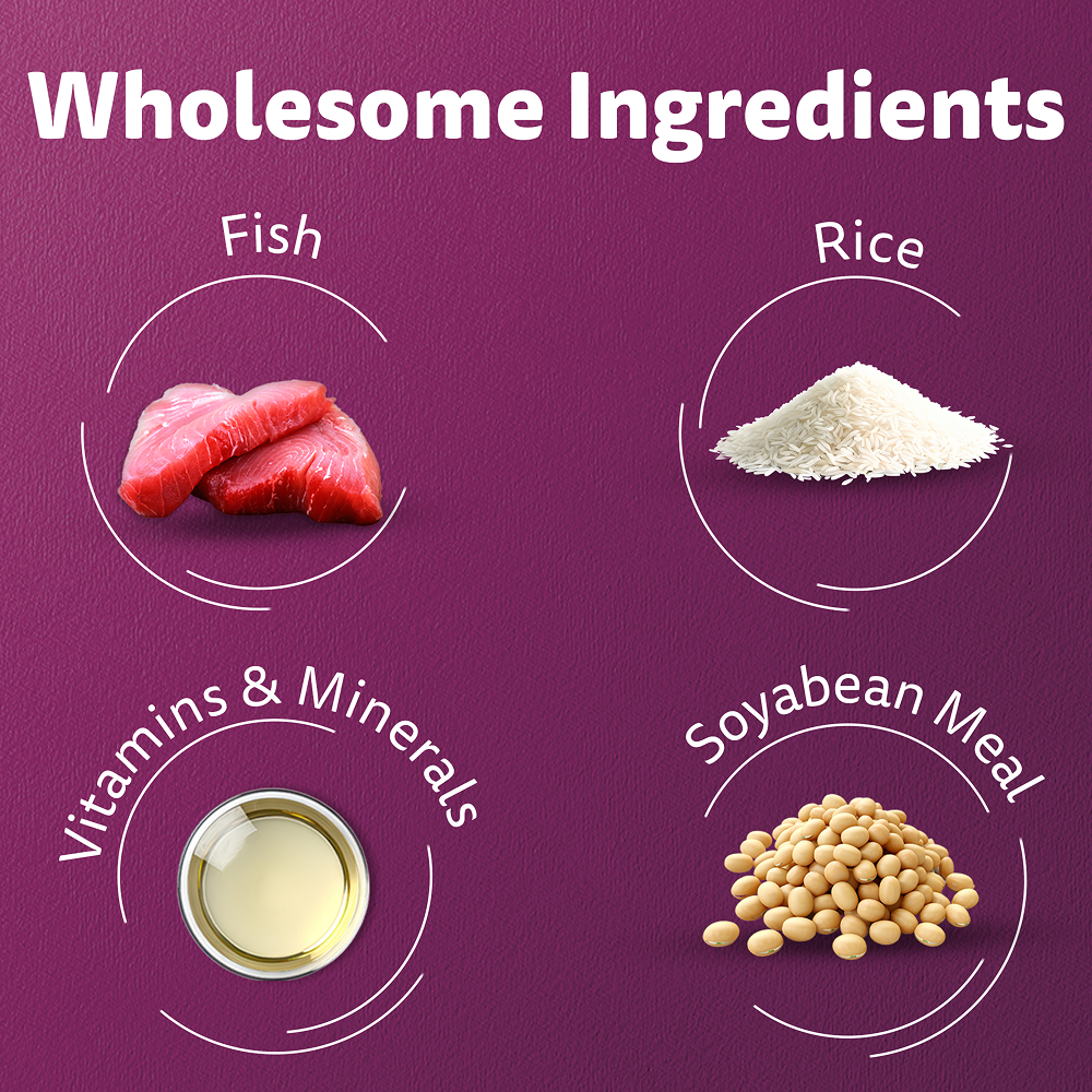 Whiskas Ocean Fish Flavour Adult Cat Dry Food Cats- Dry food Whiskas