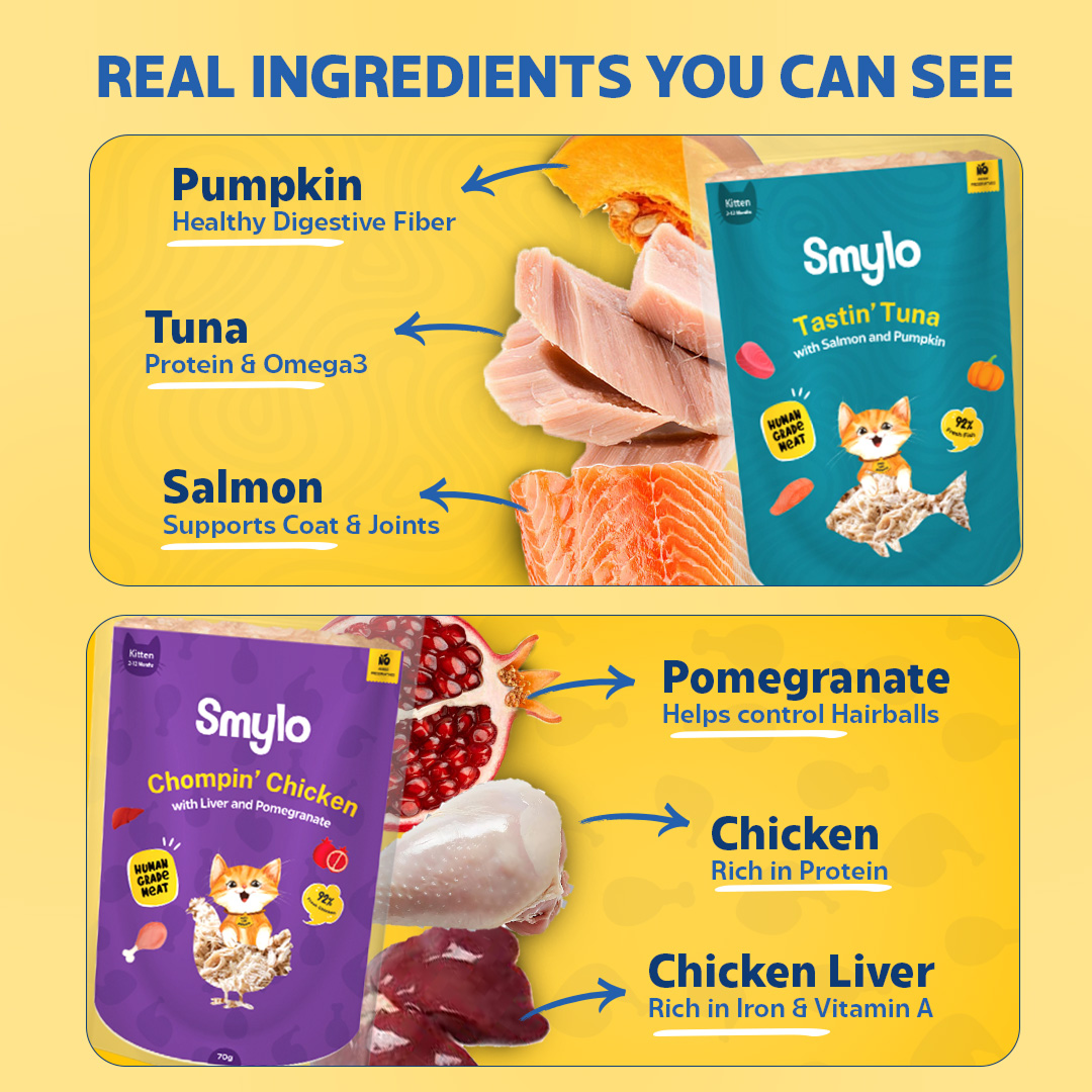Smylo Kitten Trial Box, Tuna & Chicken, Fresh & No-Preservative Wet Cat Food Cats-Wet Food Smylo