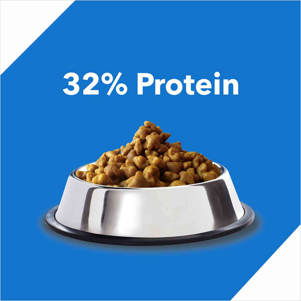 Drools Ocean Fish Adult Cat Dry Food (60g)