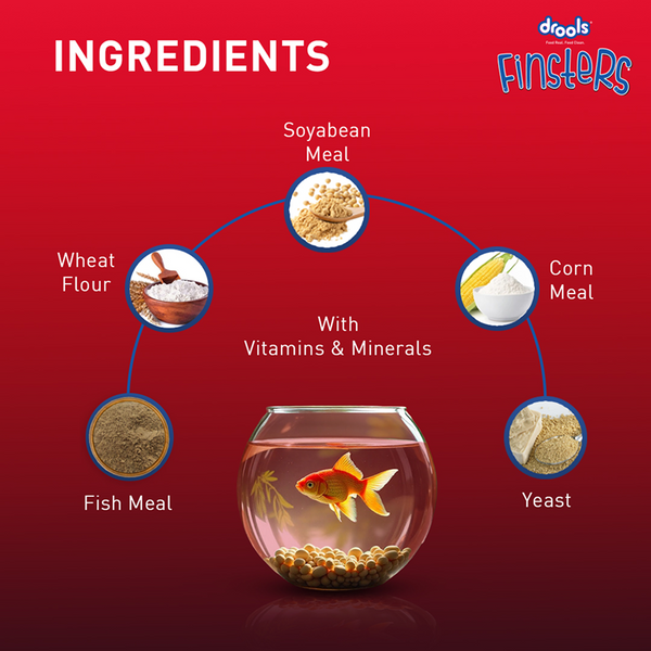 Drools Finsters Tropical 1mm Small Fish Food
