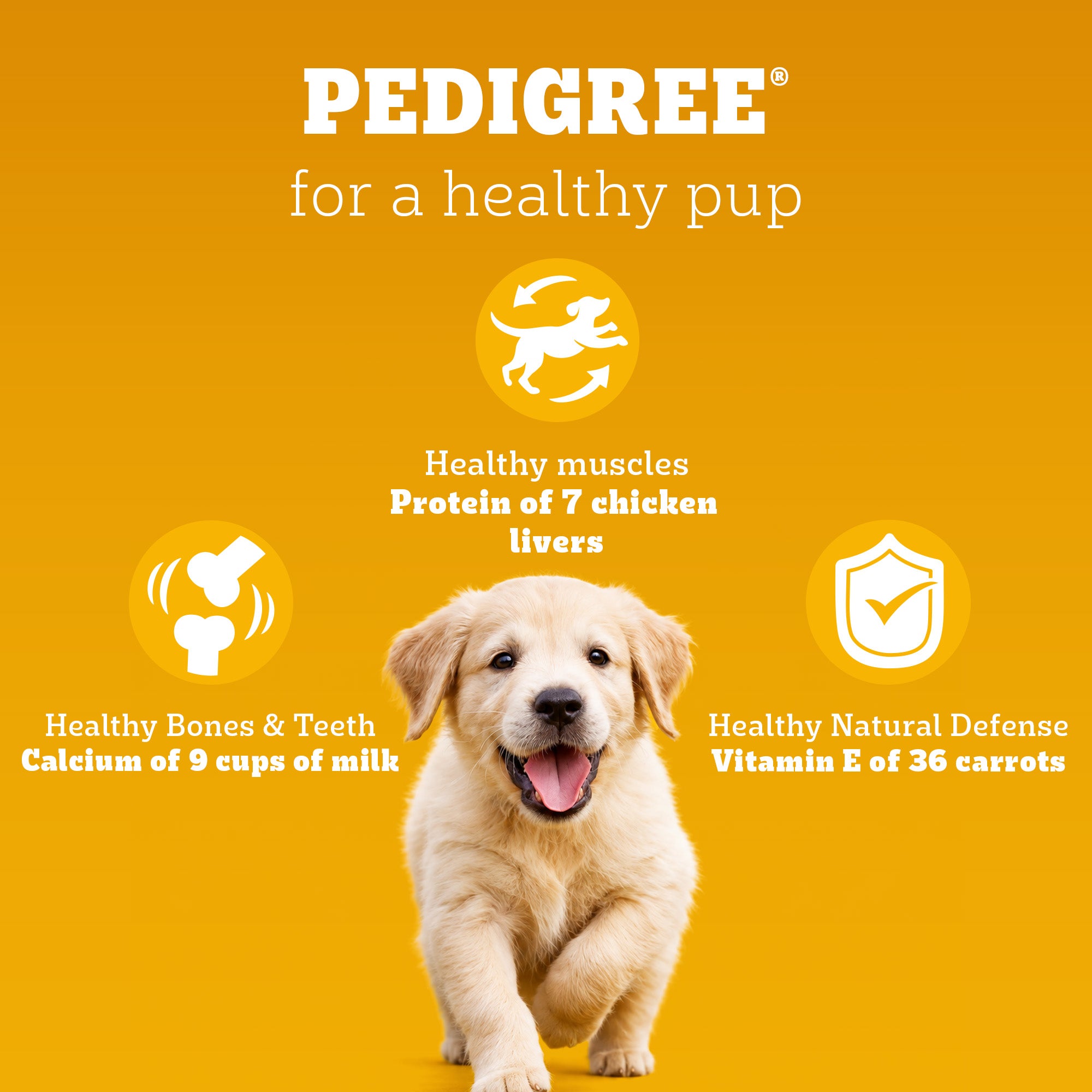 Pedigree Chicken and Milk Puppy Dog Dry Food Dogs- Dry Food Pedigree