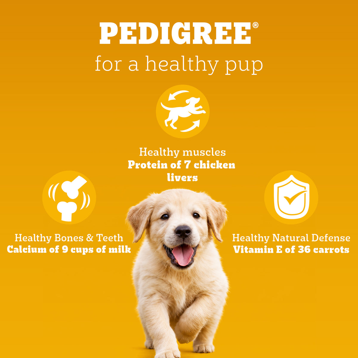 Pedigree Chicken and Milk Puppy Dog Dry Food Dogs- Dry Food Pedigree