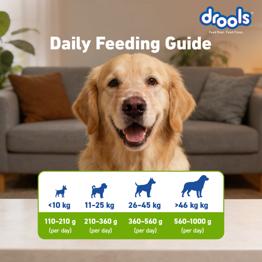 Drools 100% Vegetarian Puppy and Adult Dog Veg Dry Food (All Life Stages) Dogs- Dry Food Drools