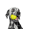 Chip Chops Chicken Tenders Dog Treats, Pet Vogue Blue Sandal Shaped Plush Toy & Goofy Tails Green Sport Tennis Ball Toy Combo for Dogs Exclusive Combo Exclusive Combo