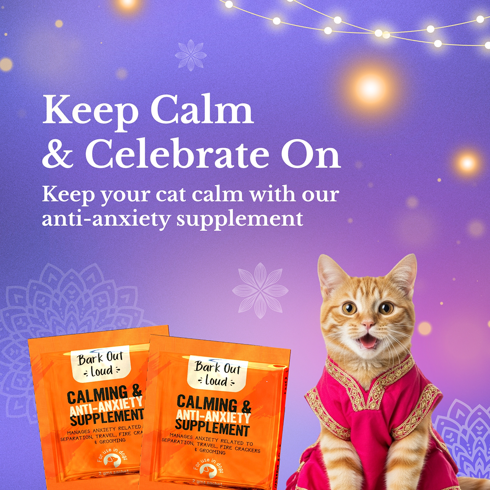 Bark Out Loud Festive Gift Box for Cats Cats-Treats & Others Bark Out Loud