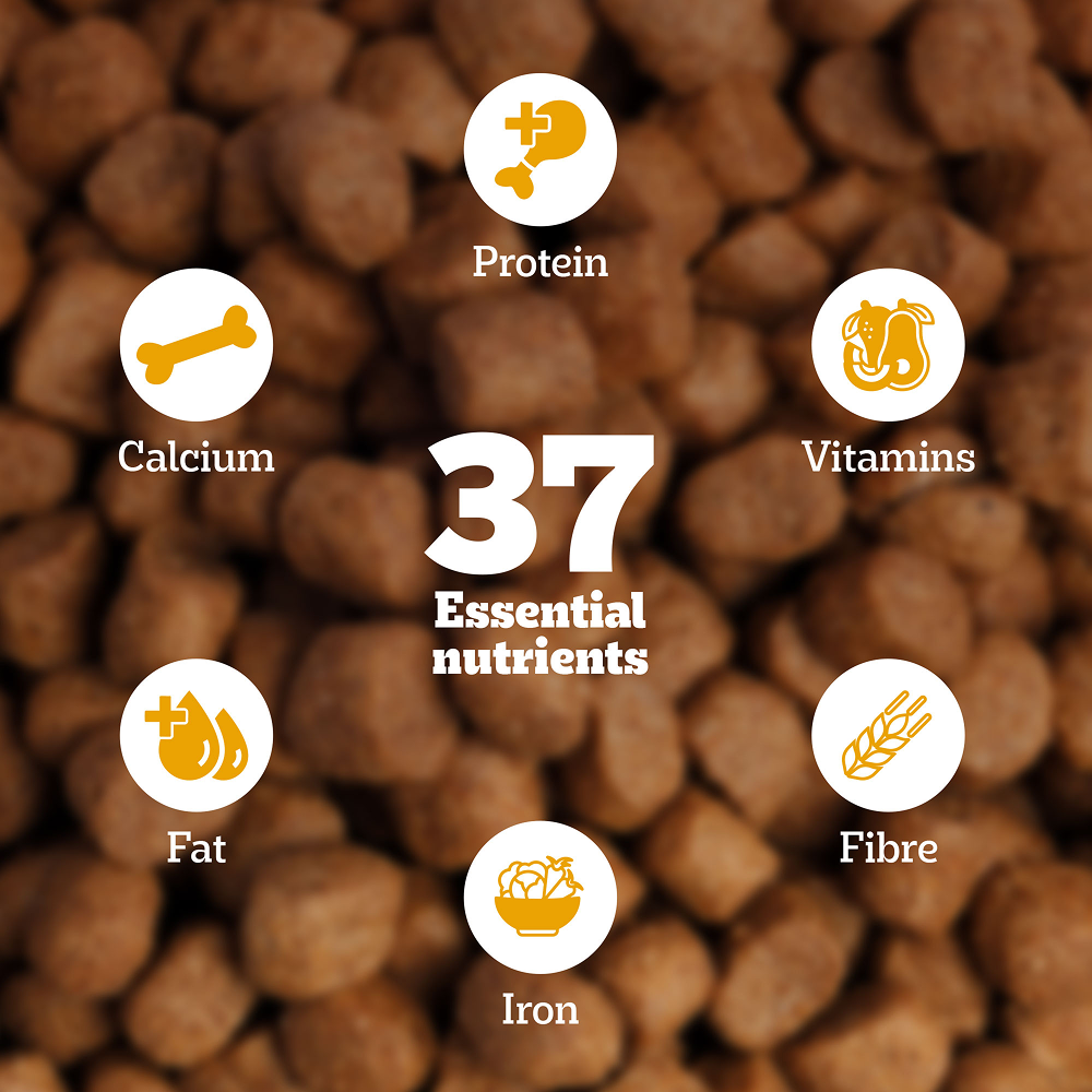 Pedigree Chicken and Vegetables Adult Dog Dry Food Dogs- Dry Food Pedigree